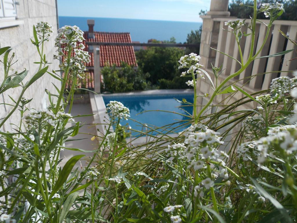 Guesthouse Villa Klaic Dubrovnik Exteriör bild